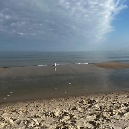 別荘 Przy Kolonijnej オストロボ