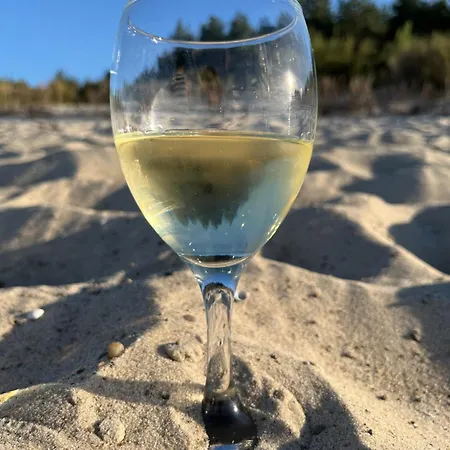 Przy Kolonijnej 別荘 オストロボ