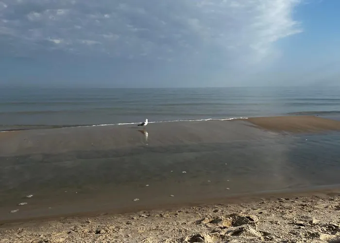 Vakantiehuis Przy Kolonijnej Ostrowo (Puck)